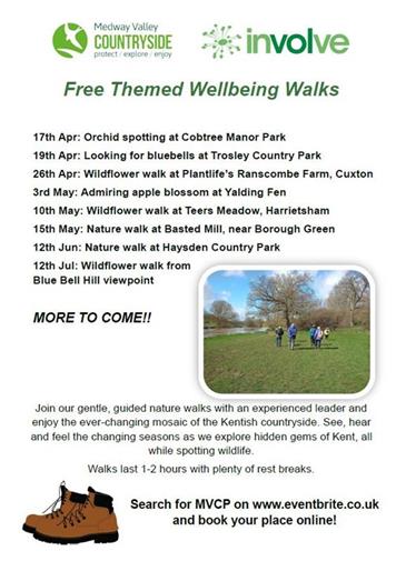  - MVCP & Involve Wellbeing Walks